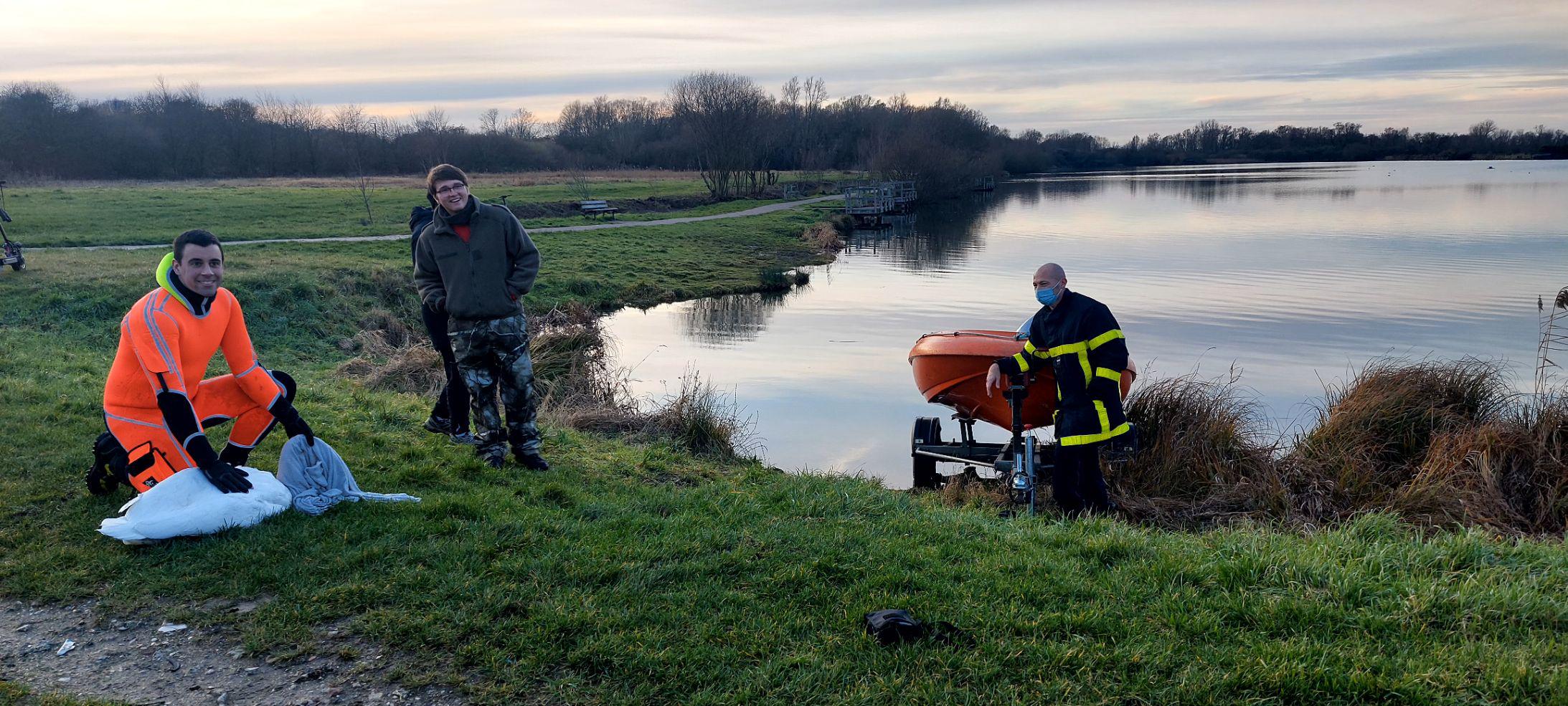 Sauvetage d'un Cygne aux étangs de Malhôve